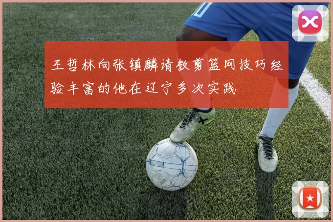 王哲林向张镇麟请教剪篮网技巧经验丰富的他在辽宁多次实践