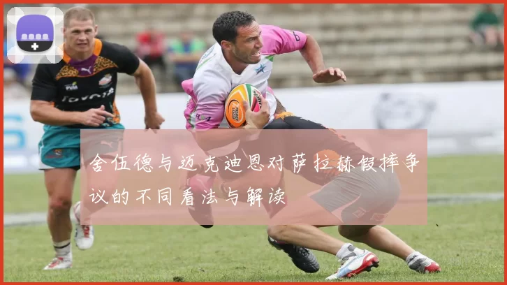 舍伍德与迈克迪恩对萨拉赫假摔争议的不同看法与解读